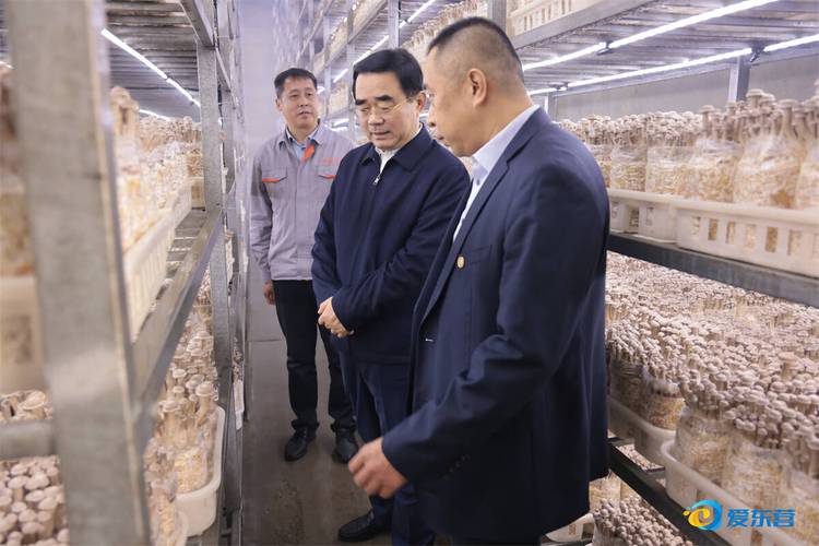 满慎刚在垦利区和河口区调研