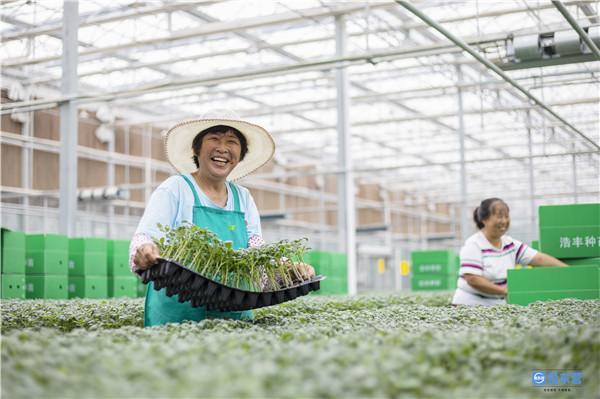 本文转自:东营网
